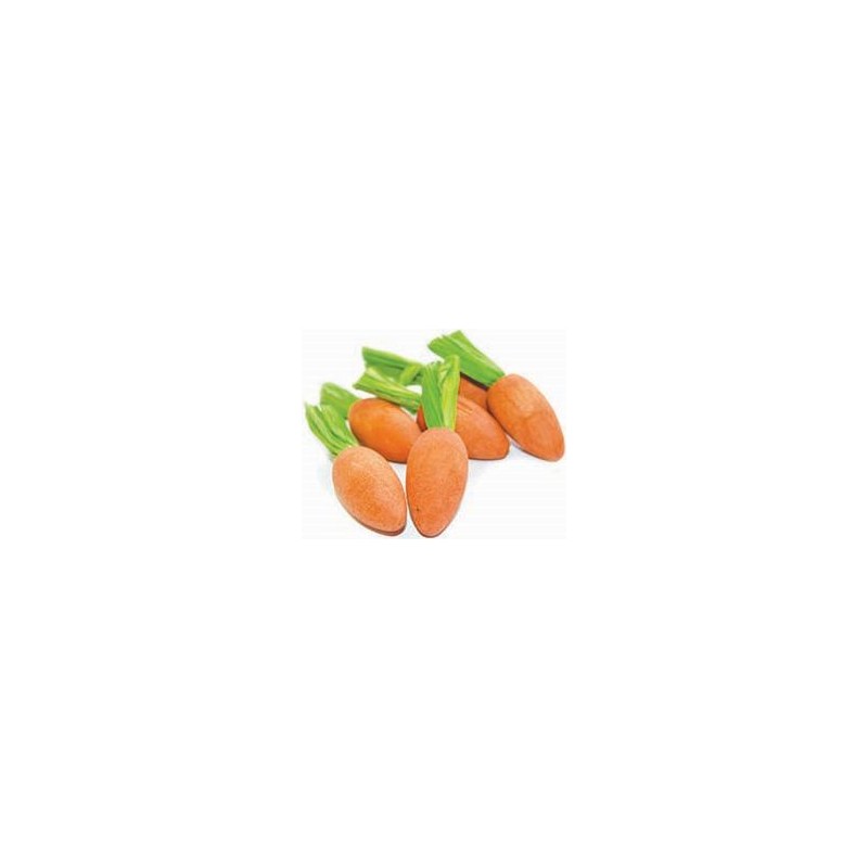 Grignoteuses de carottes 6pcs HP31192 Happy Pet 6,35 € Ornibird