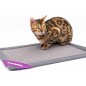 Mastermat 60 Gris/60x40cm - Petrebels Mastermat 60 Gris/60x40cm - Petrebels