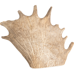 All Nature Bois de Daim L/221-300gr - Jack and Vanilla à 38,35 € - Pet Solutions - 50/0008 - Os à mâcher