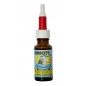 Golden Eye (gouttes pour les yeux) 20ml - Herbots Golden Eye (gouttes pour les yeux) 20ml - Herbots