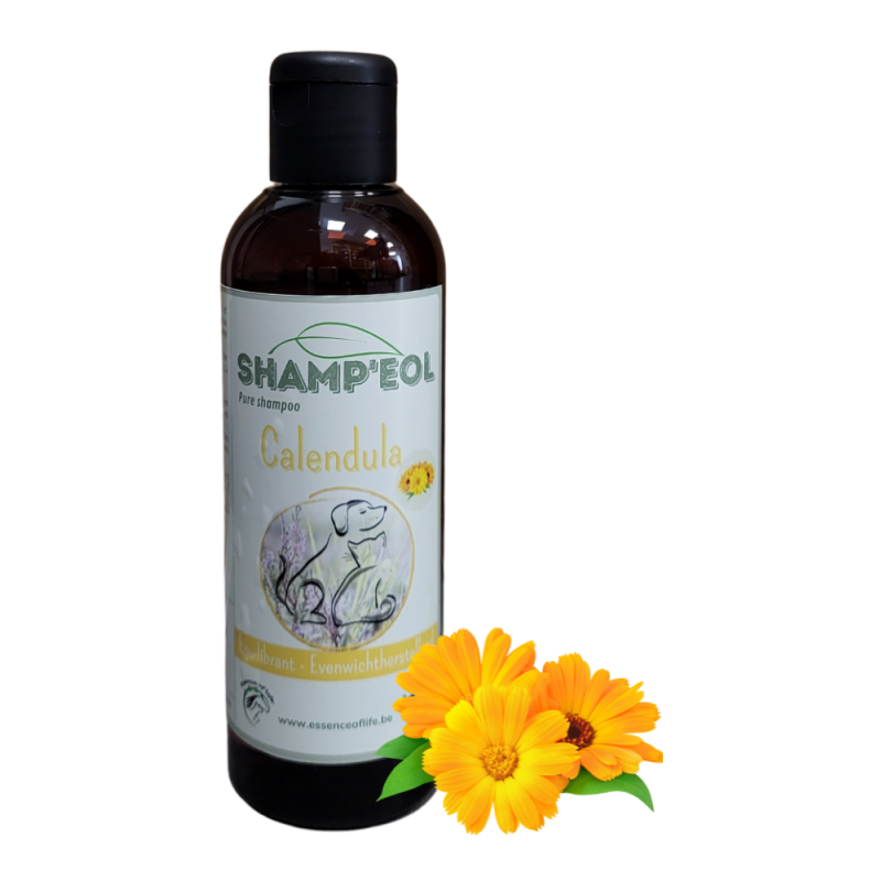Shamp'eol Calendula Shampoing équilibrant 200ml - Essence of Life (chien, chat) Shamp'eol Calendula Shampoing équilibrant 200ml - Essence of Life (chien, chat)