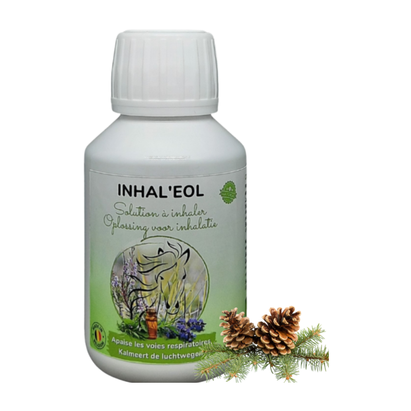 Inhal'eol Solution à inhaler 500ml + 50x cotons bio - Essence of Life CHEV-1310 Essence Of Life 86,50 € Ornibird