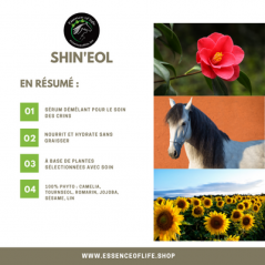 Shin'eol Sérum démêlant 125ml - Essence of Life à 19,90 € - Essence Of Life - CHEV-1326 - Shampoing