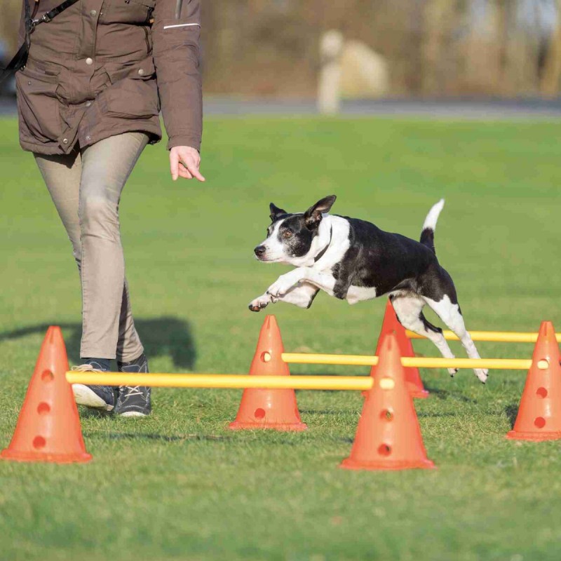Set d'obstacles sur pylône 30x50cm/100cm 4cônes/2piquets - Trixie