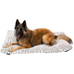 Coussin Snakeskin XS 58x45cm - Jack and Vanilla 41/0484 Jack and Vanilla 25,95 € Ornibird