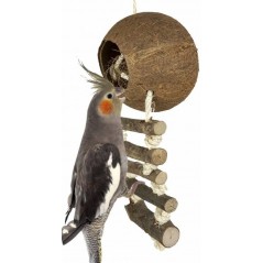 Perchoir en bois pour perroquets 28mmx90cm à 10,65 €