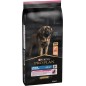 Adult Large Robust Sensitive Skin - Riche en saumon 14kg - Pro Plan Adult Large Robust Sensitive Skin - Riche en saumon 14kg - Pro Plan