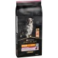 Adult 7+ Medium & Large Sensitive Skin - Riche en saumon 14kg - Pro Plan