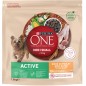Mini -10kg Active - Riche en poulet avec du riz 1,5kg - One