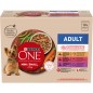 Adult Mini/Small Boeuf-Poulet-Agneau 10x85gr - One