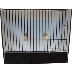 Cage exposition indigène noir 18 cm en PVC - 43,00 € - Ost-Belgium - 1698059615901 - Ornibird SRL