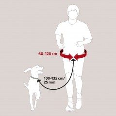 Ceinture ventrale avec laisse 60–120 cm/Max 40kg - Trixie à 24,95 € - Trixie - 1275 - Agilité