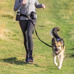 Ceinture ventrale avec laisse 60–120 cm/Max 40kg - Trixie à 24,95 € - Trixie - 1275 - Agilité