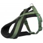 Premium Harnais XS-S Vert - 33-55cm/15mm - Trixie