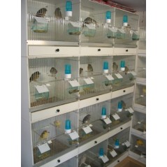 Poignée en plastique pour tiroir de cage d'élevage - 0,55 € - Ost-Belgium - 1516738651227 - Ornibird SRL