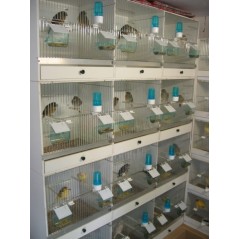 Poignée en plastique pour tiroir de cage d'élevage 88840051 Ost-Belgium 0,55 € Ornibird
