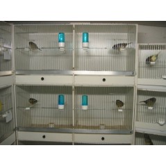 Poignée en plastique pour tiroir de cage d'élevage 88840051 Ost-Belgium 0,55 € Ornibird