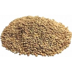 Colombine Optimal-Start 25 - 5kg - Poudre protéiné pour pigeons d'élevage et jeunes pigeons - 24,99 € - Versele-Laga - 5410340133316 - Ornibird SRL