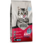 Adult Sterilized Saumon 2kg - Voskes Adult Sterilized Saumon 2kg - Voskes