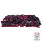 Activity Sniffing Carpet Jeu de stratégie 50x34cm - Trixie Activity Sniffing Carpet Jeu de stratégie 50x34cm - Trixie
