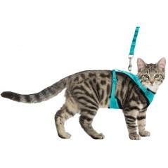 Harnais Y en maille avec laisse 39–60cm/10mm - Trixie - 19,95 € - Trixie - 4057589418906 - Ornibird SRL