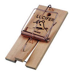 Tapette à rats 18x9cm - Lucifer à 2,95 € - Grizo - 209525001 - Nuisibles