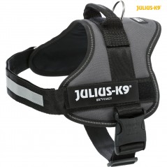 Harnais Power Julius-K9 M 58-76cm/40mm Anthracite - Julius - 44,95 € - Trixie - 5999053663933 - Ornibird SRL