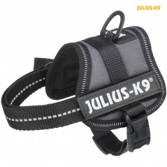 Harnais Power Julius-K9 Baby 1-Mini XXS 33-45cm/18mm Anthracite - Julius - 27,95 € - Trixie - 5999053663902 - Ornibird SRL