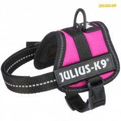 Harnais Power Julius-K9 Baby 1-Mini XS 40-53cm/22mm Fushia - Julius - 37,95 € - Trixie - 5999053662974 - Ornibird SRL
