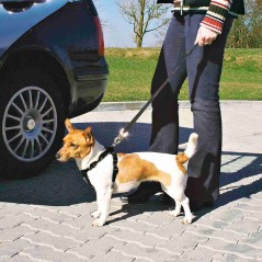 Harnais pour voiture XS 20-50cm/15mm - Trixie - 8,95 € - Trixie - 4011905012889 - Ornibird SRL