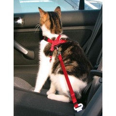 Harnais pour voiture Chat 20–50 cm/15 mm Rouge - Trixie - 10,00 € - Trixie - 4011905012940 - Ornibird SRL