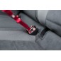 Harnais pour voiture Chat 20–50 cm/15 mm Rouge - Trixie Harnais pour voiture Chat 20–50 cm/15 mm Rouge - Trixie
