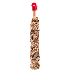 Sticks Grandes Perruches avec Noix & Garniture de Raisins - 2pcs 140gr - Sticks de graines très variés - 4,00 € - Versele-Laga - 5410340223574 - Ornibird SRL