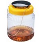 Trappe pour les guêpes et frelons sur pot pet - Bijenhof Trappe pour les guêpes et frelons sur pot pet - Bijenhof