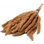 Millet rouge en Grappes en seau de 5kg - Ornibird Millet rouge en Grappes en seau de 5kg - Ornibird