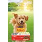 Chien Adult Active au Boeuf 3kg - Friskies