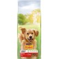 Chien Adult Active au Boeuf 12kg - Friskies