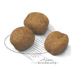 Giant Puppy 1kg - Royal Canin - 8,00 € - Royal Canin - 3182550707022 - Ornibird SRL