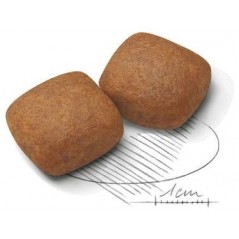 Giant Junior 15kg - Royal Canin - 96,80 € - Royal Canin - 3182550707077 - Ornibird SRL
