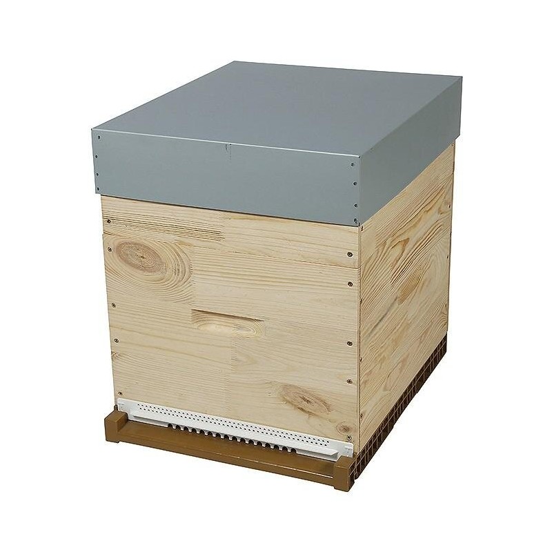 Ruche dadant-blatt simple parois ECO 10 cadres - Bijenhof