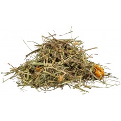 Graminées et herbes de prairie pour tortues 200gr - Trixie à 6,00 € - Trixie - 76279 - Tortues