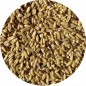Mélange de graines pour perroquet Napoléon petits perroquets 453gr - Top's Parrot Mélange de graines pour perroquet Napoléon petits perroquets 453gr - Top's Parrot