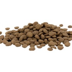 Cat Adult Sterilised/Light Chicken 2,5kg - Opti Life - 26,65 € - Opti Life - 5410340413159 - Ornibird SRL