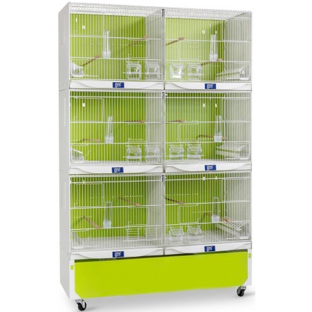 Ensemble de 3 cages avec tiroirs, accessoires et chariot - ART.108 - Italgabbie à 464,95 € - Italgabbie - ART-108 - Cages