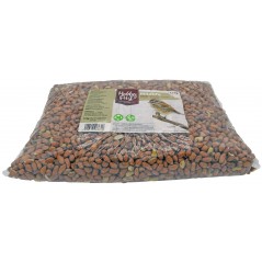Wildlife Peanuts Arachides 2,5kg - HobbyFirst à 6,70 € - Hobby First - 140086281 - Oiseaux de la nature