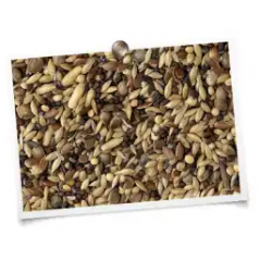 Mélange de base pour tous les types d'oiseaux indigènes 20kg - King - 37,95 € - Hobby First - 5400515002424 - Ornibird SRL