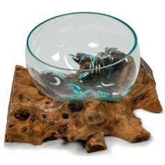 Coupe sur Racine de Gamal 25cm - Giganterra - 49,95 € - Giganterra - 3664471030064 - Ornibird SRL