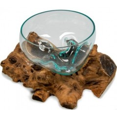 Coupe sur Racine de Gamal 25cm - Giganterra - 49,95 € - Giganterra - 3664471030064 - Ornibird SRL