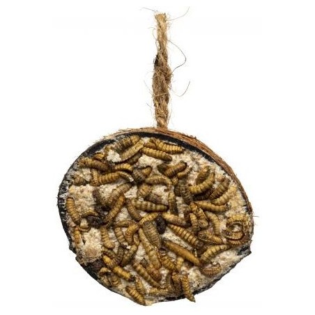 Demi Noix de Coco + Larves pour Oiseaux du Ciel - Kinlys à 1,75 € - Kinlys - 15006 - Oiseaux de la nature