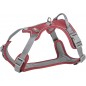Premium Harnais Active Sangria Taille S-M 39-56cm/15mm - Trixie